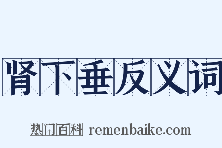 肾下垂反义词是什么意思的图片